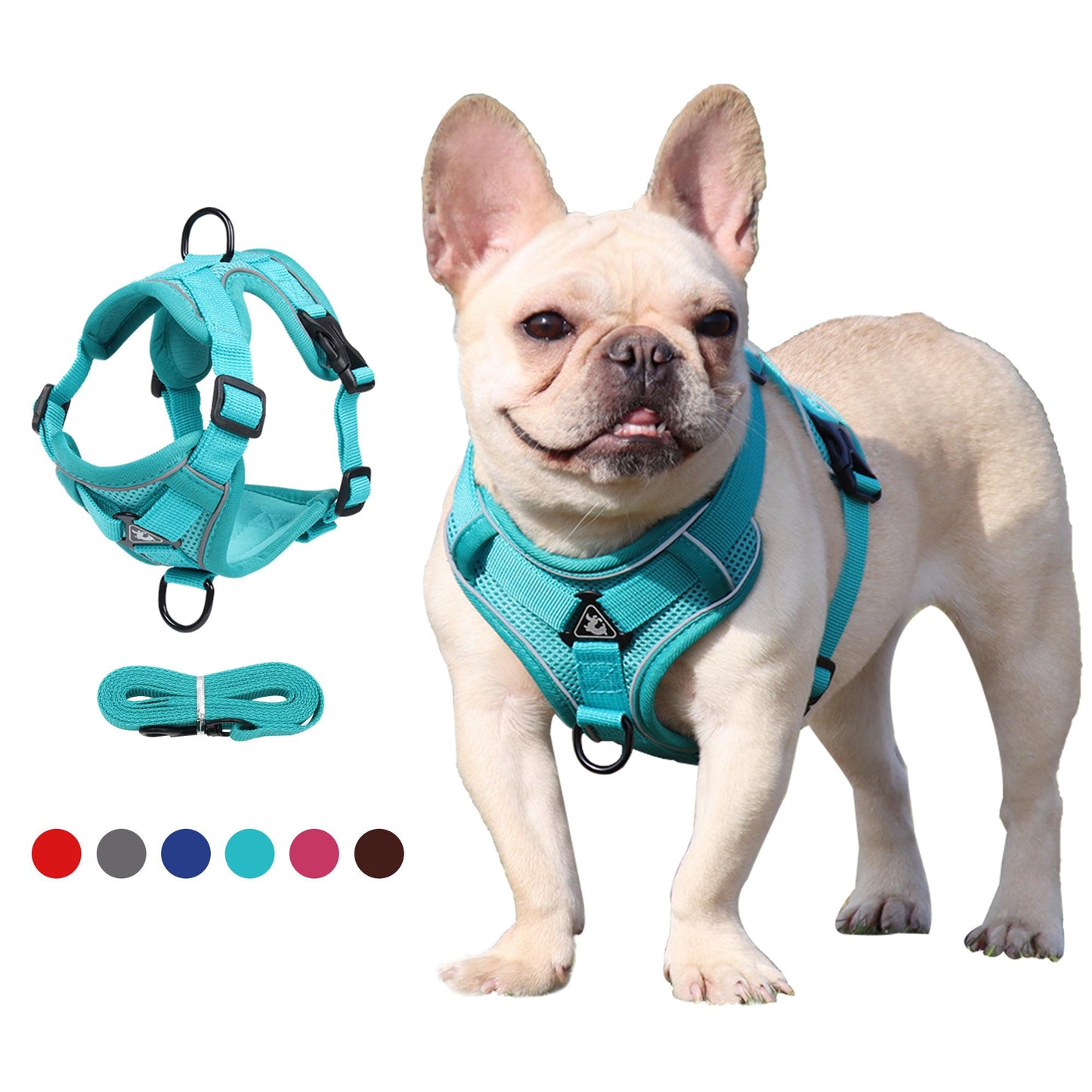 Adjustable Pet Vest Harness | Breathable, Comfy & Dual-Secure Buckle with Reflective Strips for Dogs & Cats