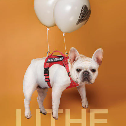 Reflective Pet Vest Harness for Dogs & Cats — Soft, Breathable, Comfortable Adjustable Harness