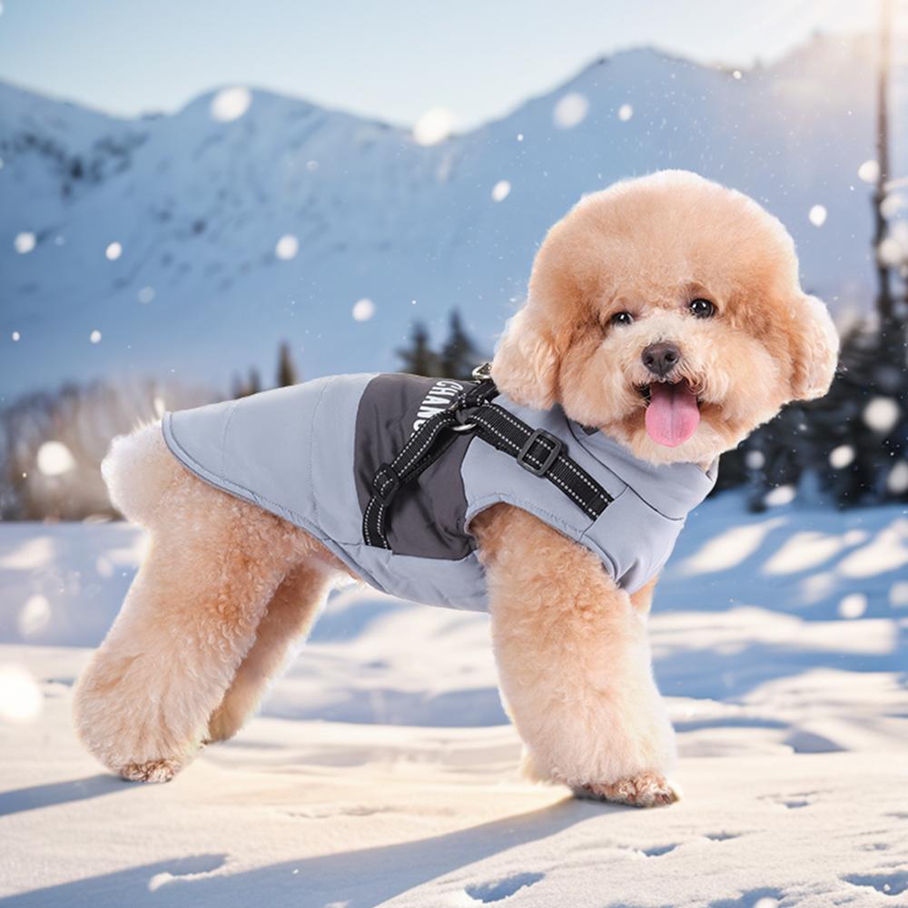 Winter Dog Coat with Leash Attachment, Waterproof Windproof Padded Pet Jacket, Thick Warm Dog Snowsuit with Pockets, Outdoor Puppy Winter Clothes