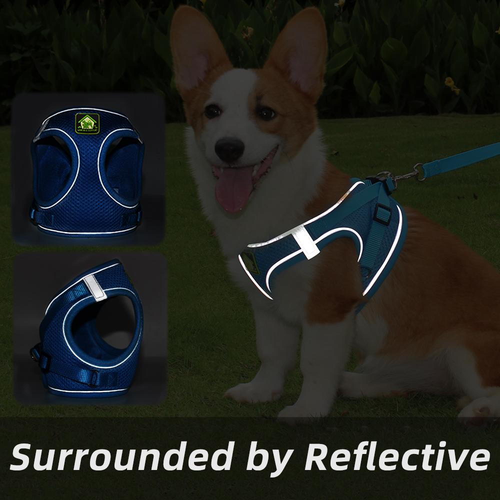 Adjustable Pet Vest Harness | Lightweight, Breathable & Secure with Velcro + Buckle, Reflective Strips & Leash Clip